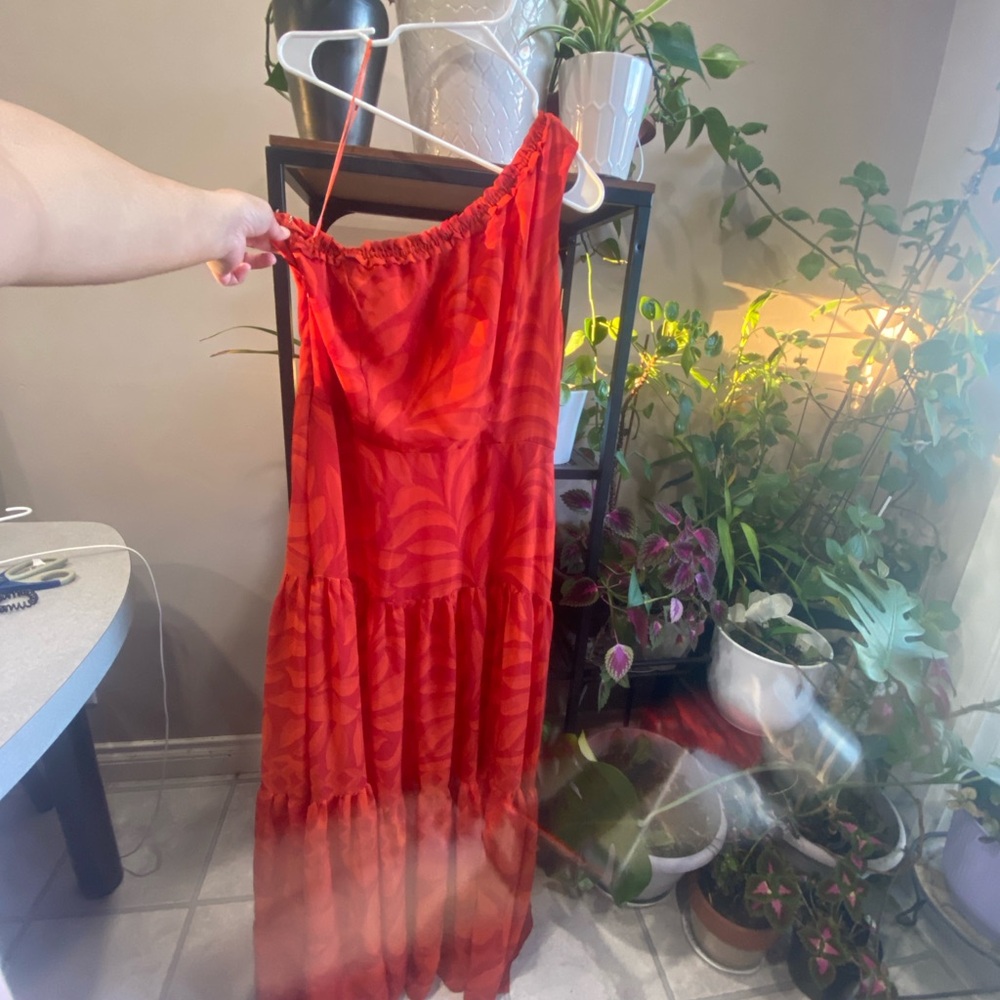 Taylor Elegant Red Dress